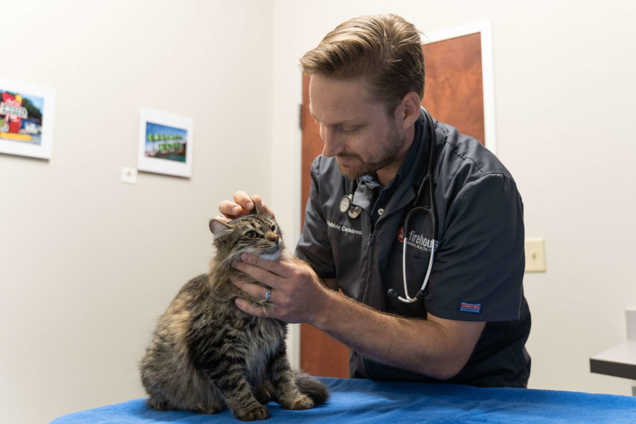 About Firehouse Animal Health Centers Vets In Central Texas