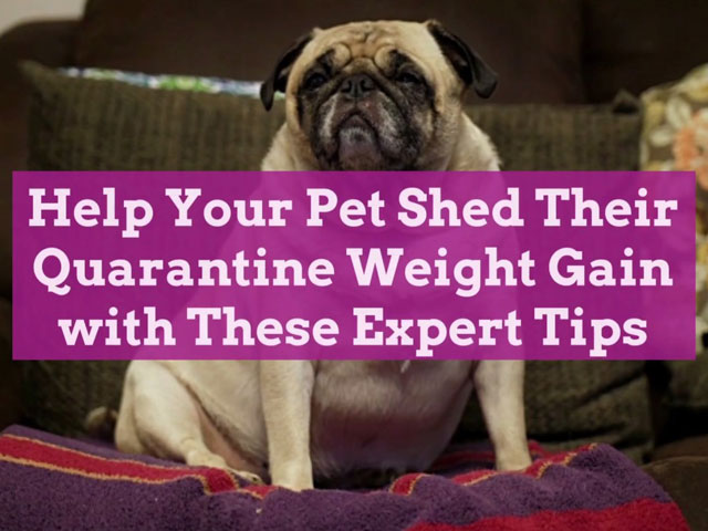 quarantineweight