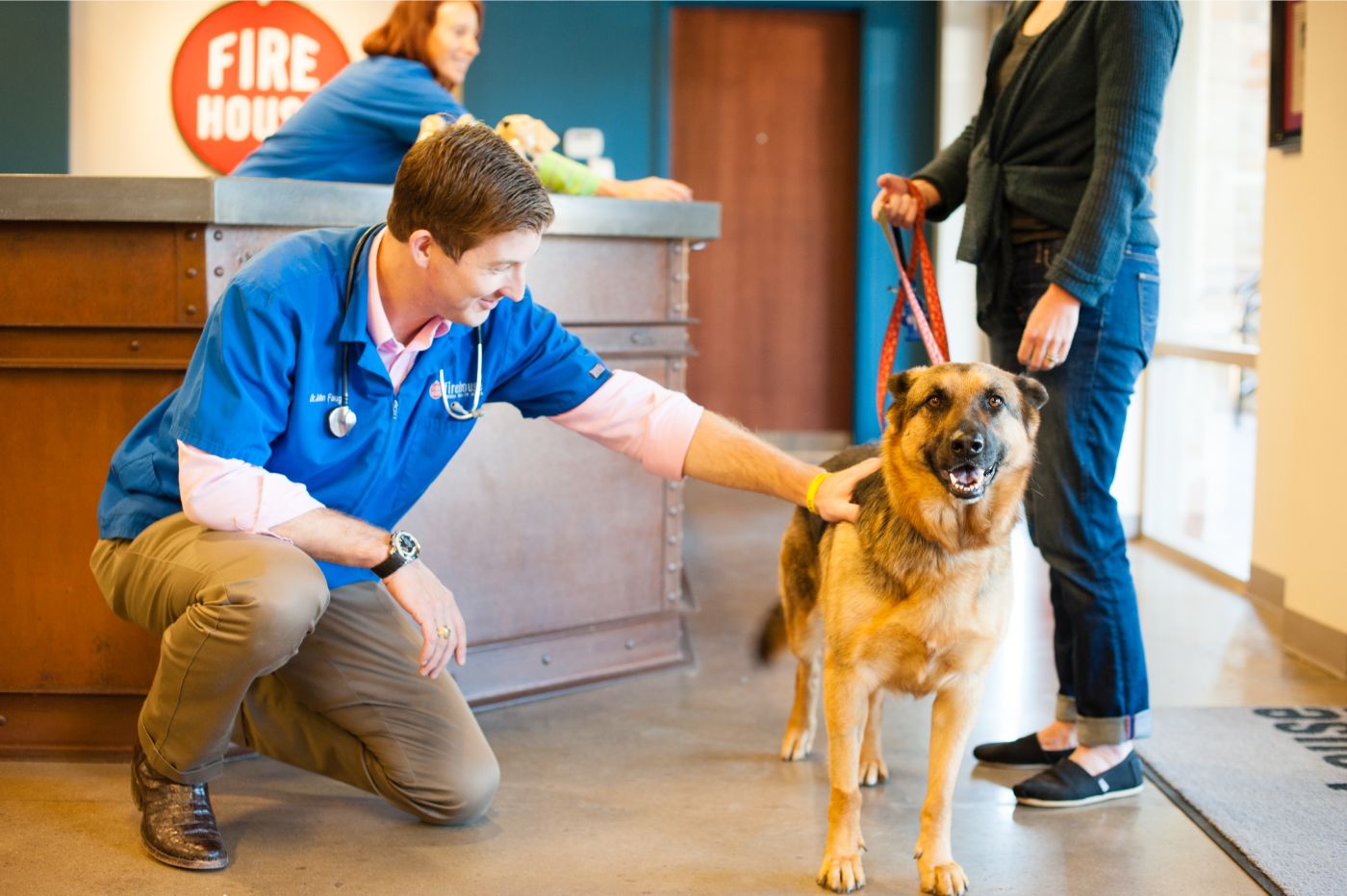 Best Veterinary Hospitals In Texas - Firehouse Animal Health Center