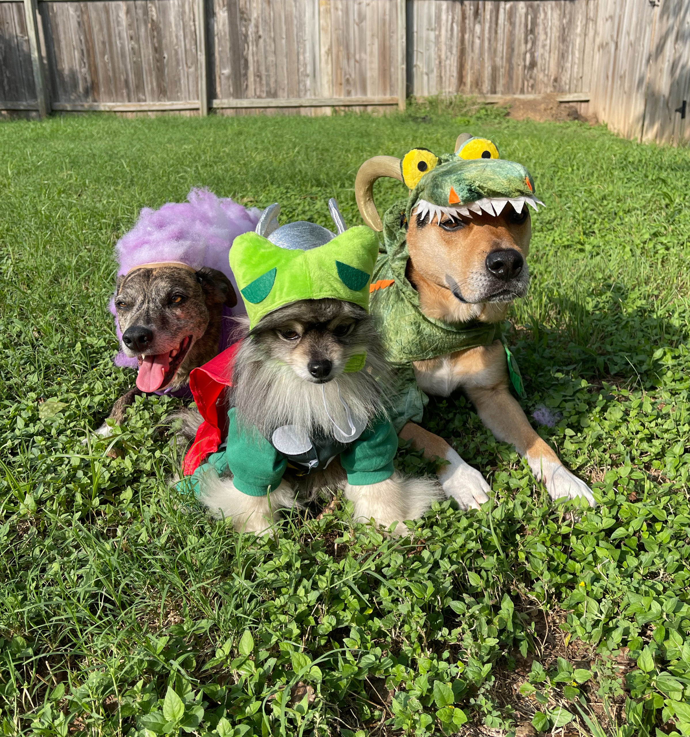 Ellie, Rigby, and Remus