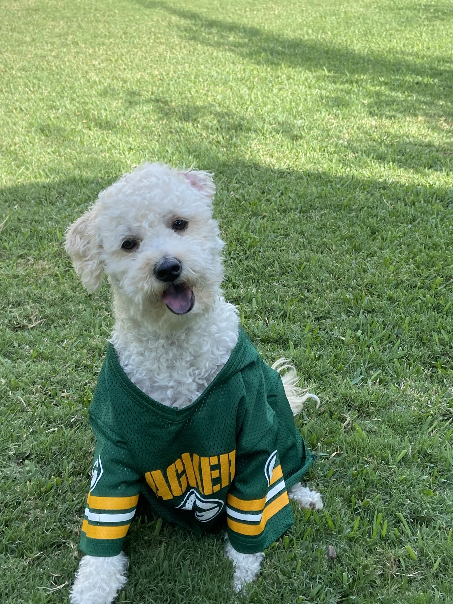 Green Bay Packers Running Dog Costume