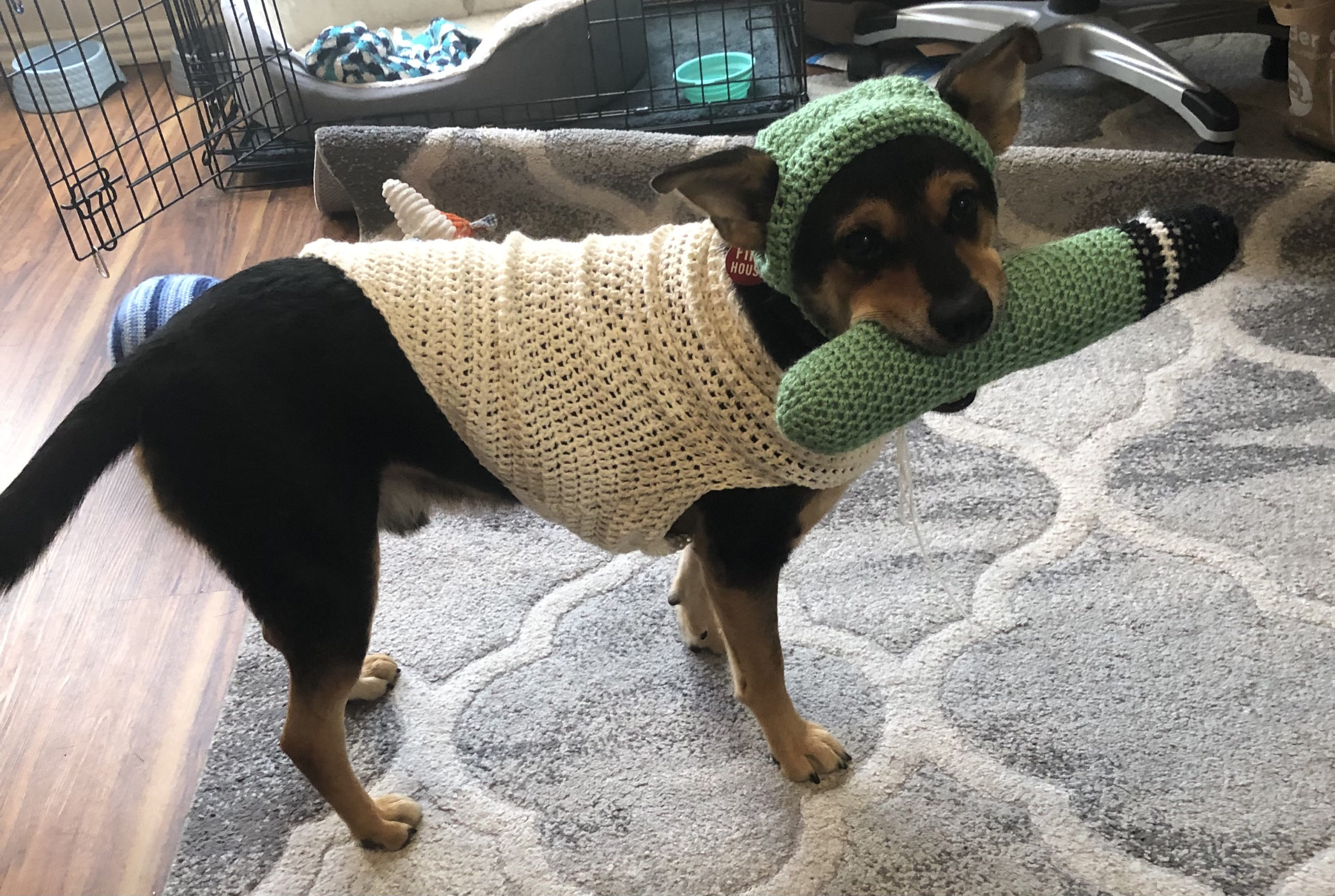 Rufus