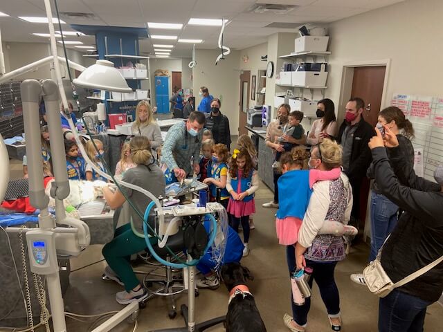 Girl Scout Visit To Firehouse Westlake – Firehouse Animal Health Centers