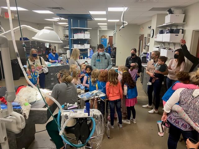 Girl Scout Visit To Firehouse Westlake – Firehouse Animal Health Centers