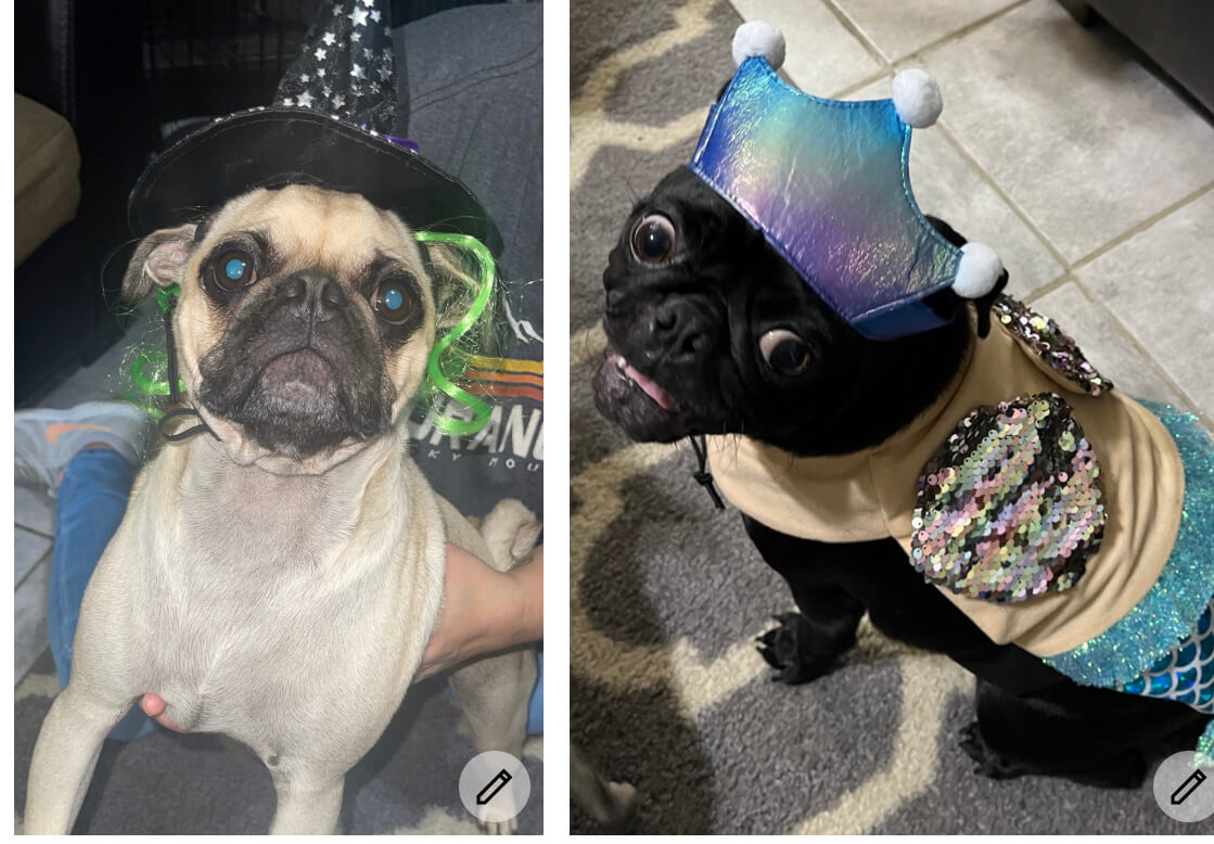 Bella the mermaid and king the witch – Jannica Gonzales