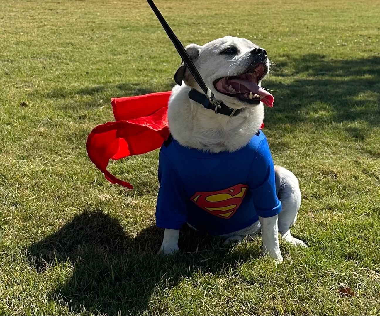 Clark Kent – Jessica Kent