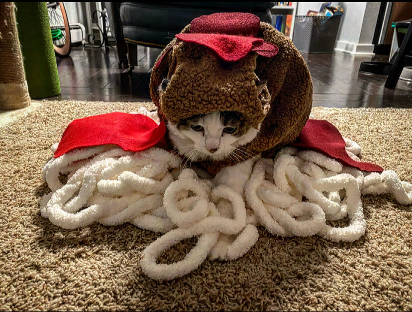 Fidget (Spaghetti and Meatball) – Emilee Clark