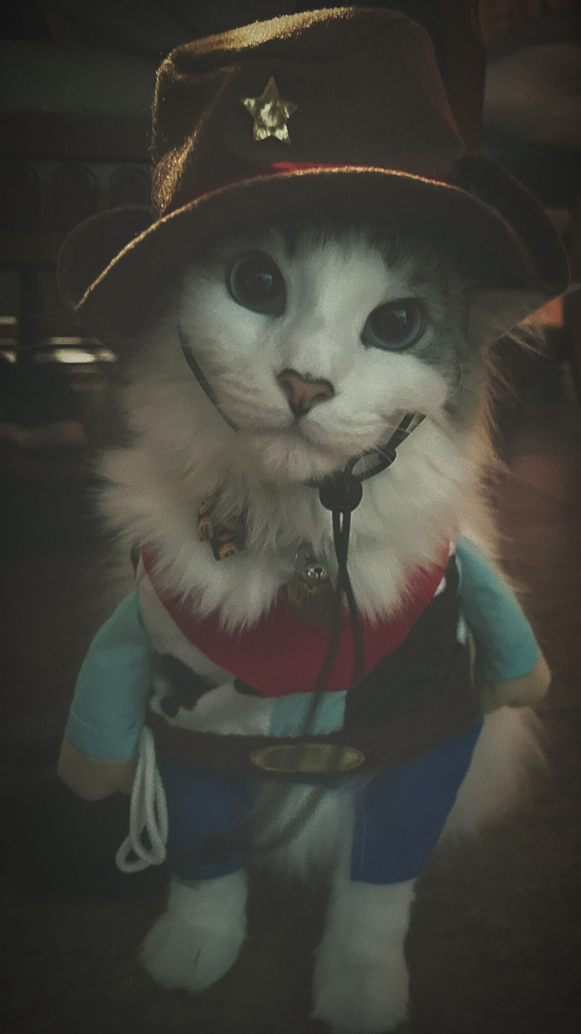 Kitty- the new sheriff in town – Jackie Alba