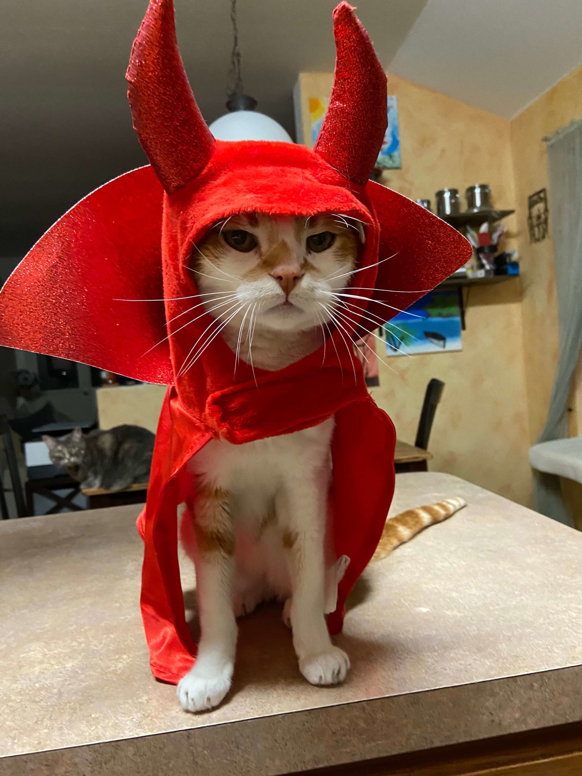 Tigger – Lydia Alonzo