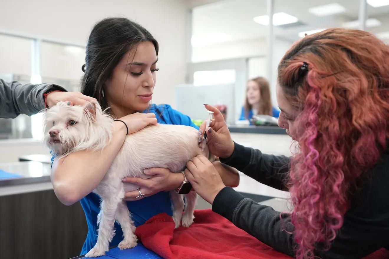 Austin American-Statesman’s Season For Caring 2023