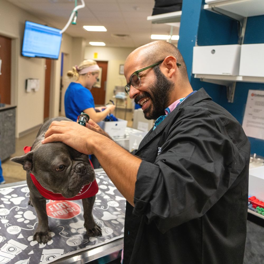 Your pet’s care is never rushed. Check-ups last as long as needed.