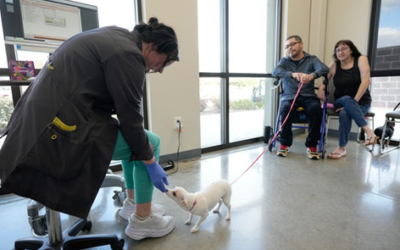 Giving Back: Firehouse’s Season of Care  Ensuring pets receive essential medical services