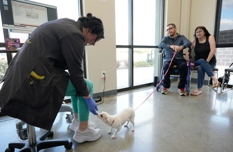 Giving Back: Firehouse’s Season of Care  Ensuring pets receive essential medical services