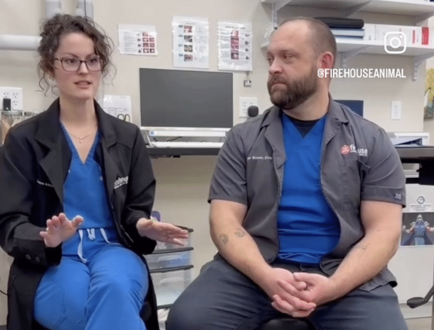 More Than a Cleaning: How Firehouse Approaches Pet Dental Care
