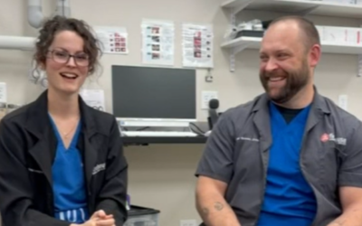 How Board-Certified Mobile Surgeons Enhance Your Pet’s Care