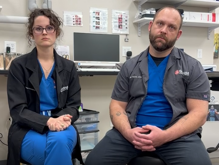 How Board-Certified Mobile Surgeons Enhance Your Pet’s Care